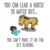 Horse To Water 7